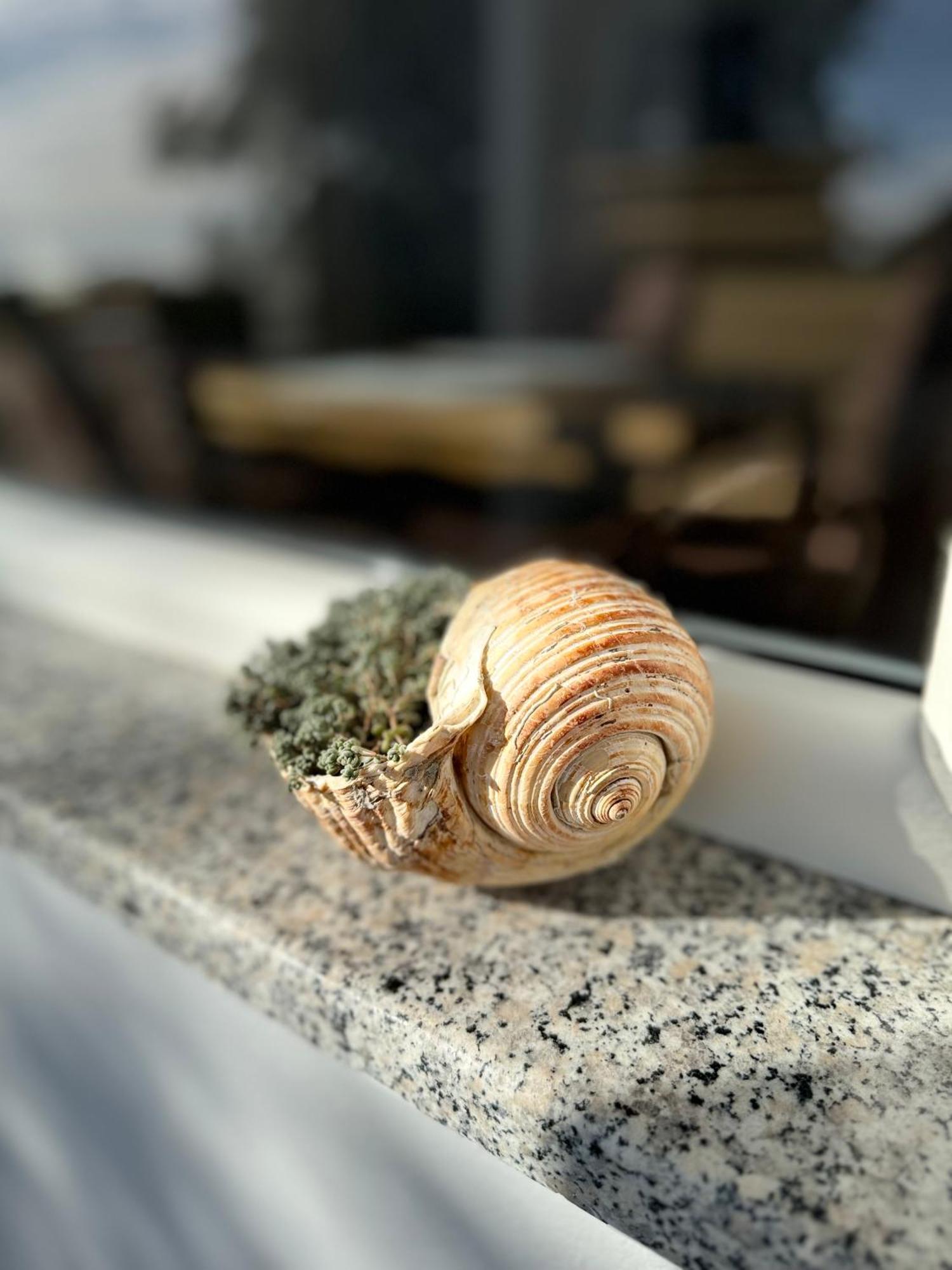 Vila Horizont Baks-Rrjoll Exteriör bild